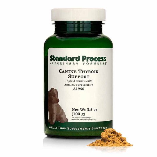 Canine Thyroid Support, SP